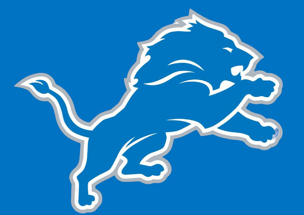 Detroit Lions 🏈